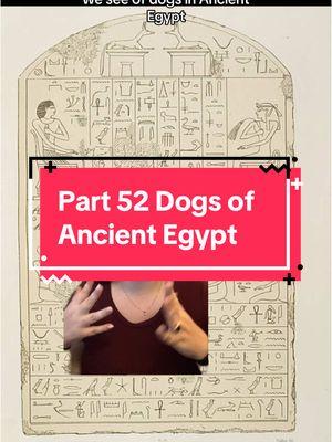 Replying to @kyliestevenson8 This was one of my favorite research deep dives for all the dogs in my corpus! #melissaindenile #fyp #fypシ #creatorsearchinsights #foryourpage #egypt #egyptian #ancientegyptians #ancientegypt #egyptology #egyptologylovers #egyptologist #dog #doggo #dogsofancientegypt #egyptiandog #egyptiandogs #ancientegyptiandogs #ancientegyptiandog #hatshepsut #newpyramid #princesshatshepsut 