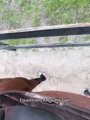 WHY DOES IT MAKE MY FEET HURT SO MUCH #equestrian #horses #showjumper #trainer #ottb #ottbjumper #bayhorse #hunterjumper #jumpers #horsesoftiktok #equestrianreposts 