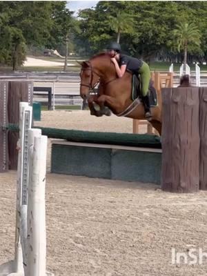 he jumped this oxer so good every single time bruh #hunterhorse #jrhunter #rideforchrome #equestriansoftiktok 