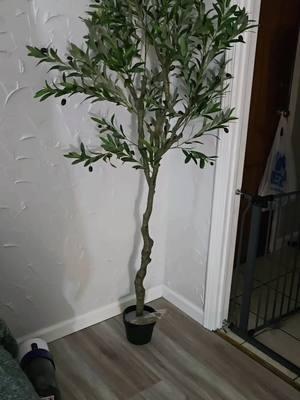 I'm obsessed!!! I can't wait to get a bigger pot for this thing! I always wanted a tree that won't bite the dust! hehehe! Use the link to get yours. #faketree #olivetree #decor  this video is sponsored! 