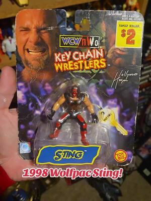 1998 Wolfpac Sting #WWE #wcw #aew #nwo4life  #sting #wrestling #toybiz #Toys #90s #1998 #retro #Nostalgia #wolfpac 