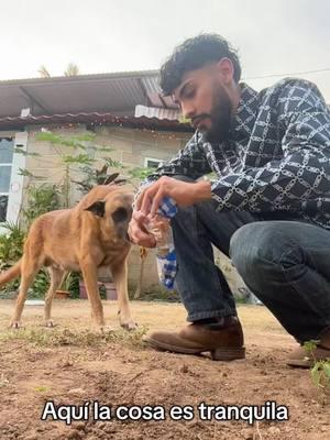 Capitán tiene más de 10 años comiendo comida mexicana #mexicandog #breakfast #guerrero #ey #fyp #ixtapilla #elsalitre #cutzamala #yyyeyyyyasisonlascosasamigochulopapalindo 