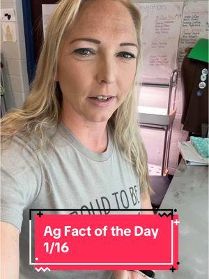 1/16- Ag Fact of the Day: Egg Shortage and Price Increases Due to Avian Influenza  #cattarauguscountyag #agfactoftheday #agteachersoftiktok #lifeofanagteacher #agteachersoftiktok 