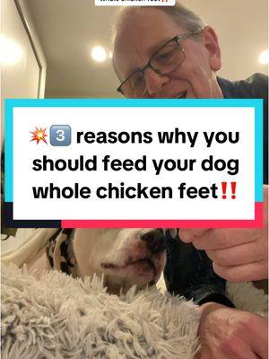 #Inverted  💥3 reasons why you should feed your dog whole chicken feet‼️ 1️⃣Dental health 2️⃣Joint health 3️⃣Mental enrichment  . . #newyearnewyou #chickenfeet #chicken #dogdental #dogdentalcare #dogdentalcleaning #dogdentalhealth #dogjointhealth #dogenrichment #dogenrichmentactivities #dogmentalenrichment #dogstress #doganxiety #doganxietytips #dogtips #healthydog #doghealth #doghealthtips #dogwellness #kingloupets #dogmom #dogdad #dogparents #dogowner #creatorsearchinsights  @King Lou 