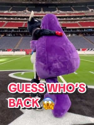 HE REALLY IS GOOD LUCK 😱 #houston #texans #nfl #playoffs #grimace 