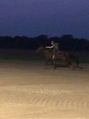 Mr Blake #barrelracer #horse #barrelhorse #bay #gelding #navicular #Summer #stride 