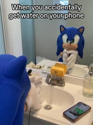 We'll never financially recover from this. #sonicthehedgehog #gaming #sonicmeme