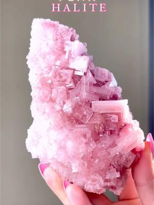 Well Crystal Lovers… Searles Lake, California did not disappoint this year with their harvesting of Halite! This year will go down in history as the best color (THOSE RICH PINKS! 💖) but less crystal formations. So when you have BOTH of those in one specimen it’s special! I picked the best I saw from what was available! There will be some really deep colors. Some are lighter. Others have crazy cool crystals! Oh! And good news, all the bigger ones will come with display stands! 🙌🏼 I have some smaller special not pictured here.  I’m lucky and blessed enough to know the person directly that excavated these exact specimens and I’m lucky enough to be able to hand pick so there is no middle man here. It’s directly from the source! 🥳 Join us for a 3 Day MEGA EVENT  our 💝❤️ 𝐕𝐚𝐥𝐞𝐧𝐭𝐢𝐧𝐞’𝐬 𝐂𝐫𝐲𝐬𝐭𝐚𝐥 𝐋𝐨𝐯𝐞𝐫𝐬 ❤️💝themed story and live sales on Instagram @ourmotherscrystals - showcasing crystals that align with the heart chakra and that fit with a V-Day theme as well: like reds, pinks, dreamy pastels, hearts shapes and crystals that will make your heart flutter! Lots of crystal jewelry too if you need to buy for your crystal loving honey bunny 🐰 Mark your calendars! 📅 and set your reminders!  𝐒𝐭𝐨𝐫𝐲 𝐒𝐚𝐥𝐞✨ 𝐅𝐫𝐢𝐝𝐚𝐲, 𝐉𝐚𝐧𝐮𝐚𝐫𝐲 𝟐𝟒𝐭𝐡 𝐀𝐥𝐥 𝐃𝐚𝐲  𝐋𝐢𝐯𝐞 𝐒𝐚𝐥𝐞𝐬✨  𝐒𝐚𝐭𝐮𝐫𝐝𝐚𝐲, 𝐉𝐚𝐧𝐮𝐚𝐫𝐲 𝟐𝟓𝐭𝐡 𝟐:𝟎𝟎 𝐏𝐌 𝐄𝐒𝐓 𝐒𝐮𝐧𝐝𝐚𝐲, 𝐉𝐚𝐧𝐮𝐚𝐫𝐲 𝟐𝟔𝐭𝐡 𝟏𝟎:𝟎𝟎 𝐀𝐌 𝐄𝐒𝐓 ⁣⁣⁣⁣⁣⁣⁣⁣⁣⁣⁣⁣⁣⁣⁣⁣⁣⁣⁣⁣⁣⁣⁣⁣⁣⁣⁣⁣⁣⁣⁣⁣⁣⁣⁣⁣⁣⁣⁣⁣⁣⁣⁣⁣⁣⁣⁣⁣⁣⁣⁣⁣⁣⁣⁣⁣⁣⁣⁣⁣⁣⁣⁣⁣⁣🌳And as always we will have 𝙊𝙣𝙚 𝙏𝙧𝙚𝙚 𝙋𝙡𝙖𝙣𝙩𝙚𝙙 in your honor with every purchase! ⁣⁣⁣⁣⁣⁣⁣⁣⁣⁣⁣⁣⁣⁣⁣⁣⁣⁣⁣⁣⁣⁣⁣⁣⁣⁣⁣⁣⁣⁣⁣⁣⁣⁣⁣⁣⁣⁣⁣⁣⁣⁣⁣⁣⁣⁣⁣⁣⁣⁣⁣⁣⁣⁣⁣⁣⁣⁣⁣⁣⁣⁣⁣⁣⁣⁣⁣⁣⁣⁣⁣⁣⁣⁣⁣⁣⁣⁣⁣ Blessings and Love - Dana 💎 🧚🏻✨🌸💎🧚🏻✨ #ourmotherscrystals #crystals #halite #pinkhalite #pinkponyclub #collectiblecrystal #crystalenergy #halitecrystal #crystalcollection #rawcrystals #polishedcrystals #crystalshop #crystalshealing #crystalshopping #crystalsale #pinkcrystals #highqualitycrystals #crystalcollector #crystalsforbeginners #crystalmagic #ilovecrystals #uniquecrystals #prettycrystals #druzycrystal #heartchakrahealing #valentinesgifts #valentinsday