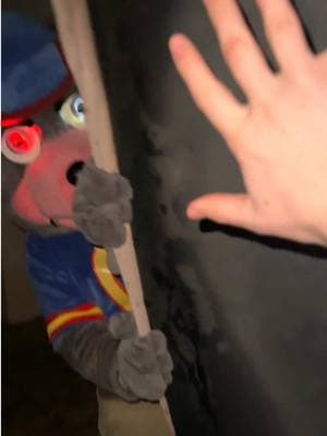 Did he seriously not take his shoes off?… #fyp #tiktokban #fnaf #chuckecheese #horror 