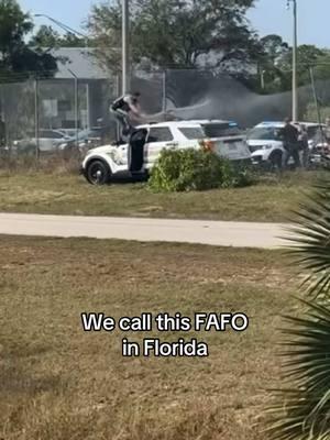 1/16/25 - Car jacking isn’t a great idea  #colliercounty#florida#fafo#police#pursuit 