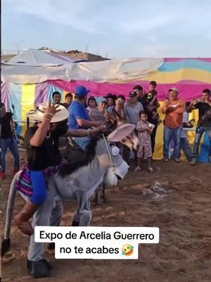 #arcelia #expoarcelia2024 #corridos #carrerasdecaballos #padrehermoso #tierracaliente #calentano #fyp #Christmas #Navidad 