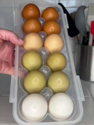 Give me all the rainbow eggs. #mom #family #nospend #budget #budgeting #baking #cooking #madefromscratch #homemade #homemadefood #ingredientsonly #homemaker #homestead #simpleliving #foodpreservation #vacuumseal #freezer #deepfreezer #kitchenrestock #preservingfood #freezerstash #mealplanning #mealprepping #homemadekitchenrestock #hacks #KitchenHacks #kitchenstaples #homemadecooking #chickens #backyardchickens 