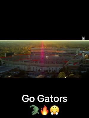 Go Gators #floridagators #trending #fyp #viral #longervideo #CollegeFootball #football #secfootball #footballhighlights #timtebow 