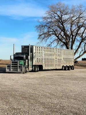 Striving to be better each and every time! Thank you! #northwestiowa #washing #detailing #liferollson #18wheeler #aluminum 