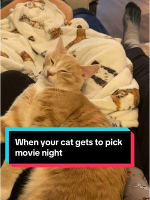 #catpick #flow #catmovie 