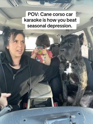 What song should we do next? We do a little karaoke ses while waiting for big sis to finish school. Garth's face at the end is so funny. He's so over my bs 🤣 #canecorso #canecorsopuppy #dogsoftiktoktiktok #dogtok #puppy #dogmom #italianmastiff #doglifelover #doglife #fyp 