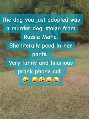 The dog you just adopted was a murder dog, stolen from Russia Mafia. She said she literally peed in her pants.  Very funny and hilarious prank phone call  🤣 😅🤣😅😂 #prankcall #prankphonecall #funny #prank #prankcall #funny #funnyvideos #jokes #viraltiktok #viralvideo #goviral #trending #fyp #foryou #foryoupage #jubalshow @The Jubal Show @jubalfresh0 