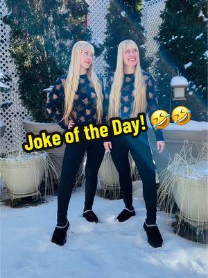 Kennerly’s Joke of the Day! 🤣❄️🤣❄️ #jokeoftheday #jokes #joke #harptwins #snow #winter #silly #laugh #dadjoke #dadjokes