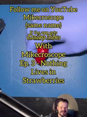 Follow me on YouTube @Mikecroscope One of my favorite intros ever. Music by @bad at math. song: hope in the cold #microscope #science #learn #microorganisms #mikecroscope music by @badatmath