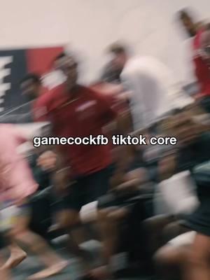 gamecock football core. follow us on IG @gamecockfb #tiktok #tiktokban #tiktokgoodbye #goodbye 