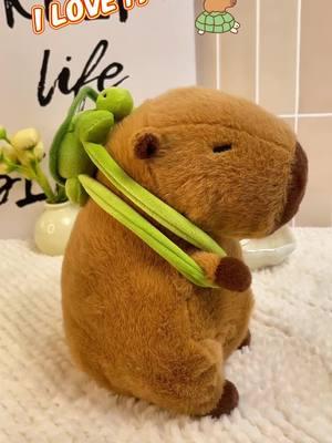 Wwww!!!! Capybara stuffed animal! Cute!!!!#capybara #capybaratiktok #toys #toy #gift #graduationgift #plush #foryou #doll