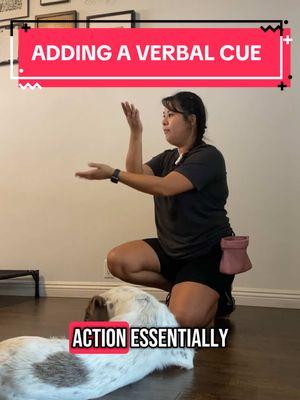 Make sure you don’t teach both the verbal cue and the hand gesture at the same time. #dogs #DogTraining #handsignals #verbalcues #dogstuff #dogtok #dogtrainingtips #dogtrainer #losangelesdogtrainer 