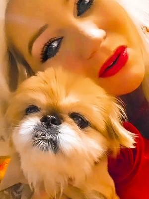 Me and Lil Miss Superstar of Tik Tok Princess Chloe Bear Loves Y'all🐶🐾🧡😍 #lilmisssuperstaroftiktok🌟  We are Gonna Miss Y'all  so much if Tik Tok gets banned💔😭🐾🐶 #tiktokban  I'll Cherish Our Memories here. Our Tik Tok Family is Priceless!🧡 #tiktokmemories  ●Follow me on Lemon8 and Favorited @blingqueen81 ●IG __bling.queen #savetiktok #tiktokfamily4eva #teamtonyacountrystrong💪 #blingqueen81 #countrybarbie🎀  #honkytonkbarbie🎀 #countryasaturnipgreen❤️ #favoritedapp #lemon8app #ig #idratherhave4quartersthan100pennies #qualityoverquantity #positivityoverpopularity 