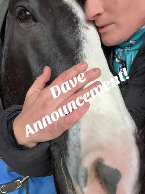 #prettydave announcement! We will continue to post our journey with Dave on our YouTube channel, FB and IG. Follow in any of those platforms to keep up with his journey and consignment info. Finishing up his same video this week so keep an eye out for it! Message with any questions about Dave. #tkequine #salehorse #prettyhorse #familyhorse #horse #horsesoftiktok #horsesontiktok #fyp #geldings #blueroan 