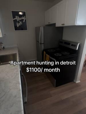 Apartment hunting #detroit #michigan #apartments #apartmenthunting #apartmentsindetroit #detroitapartments #Home #renovatedapartments #fyp #fypシ #fypシ゚viral #viral #homedecor 