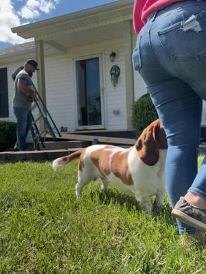 Team work makes the dream work #diyproject #diyhome #homerenovation #couplediy #DIY #homeimprovement #hisandhers #goals #kentucky #notcalifornia #caligirl #countryboy #renovationproject #coupleprojects @JBowl #peach #peaches #jbowl