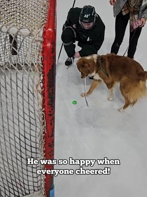 First hockey dog to score on ICE 🥹🎉 #hockeydog 