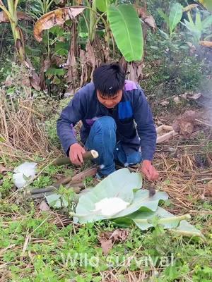 Bamboo rice with grilled bird #wildSurvival #intheforest #nature #bamboorice 