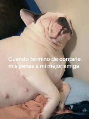 #mimejoramiga #dog #luna  #lecuento #mispenas #ronca  #ronquidos #sedurmio #bebe  #perritostiktok #perritoslindos  #miamorcito #miamorbonito #fy  #paratiiiiiiiiiiiiiiiiiiiiiiiiiiiiiii #foruyou 