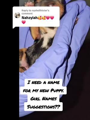 Replying to @nyshellhister  love love love it!!! Her name is Nahzaya Legacy Priceless last litter!! If interested dm or text me my number is in my bio. Only Males Available  waiting list for females Delivery Available in the United States only. #pfunkyorkiesbynikki #rehome #puppiesoftiktok  #vettech  #TIKTOK  #cutepuppies #puppies #dogs #yorkie  #baddie #puppies  #Love #beauty #cute #greatphotography  #animals  #explore #discover #puppy #puppylife #pfunkyorkiesbynikki #cutepuppies #puppies #dogs #yorkie  #baddie #puppies  #Love #beauty #cute #greatphotography  #animals  #explore #discover #puppy #puppylife #lasvegas #vegas #california #texas #atlanta #usa_tiktok  #chicago #alaska #michigan #anchorage #georgia #lousiana #flordia #miami #stlouis #animetiktok #animeedit #us #unitedstates #northcarolina #northdakota 