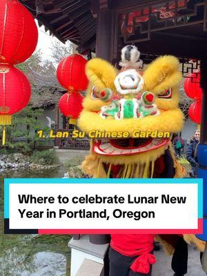 Lunar New Year in Portland 🐍  #portlandoregon #thingstodoinportland #lunarnewyear #chinesenewyear #portlandevents 