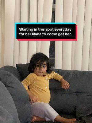 My one year old goes straight  to the window looking for  her grandpa as soon as someone  says Nana! #grandparents #grandad #nanabu #nana #granddaughters #family #Love #bond #fyp #foryou #daughters #granddaughters #trending #missingnana #grandparentslove 