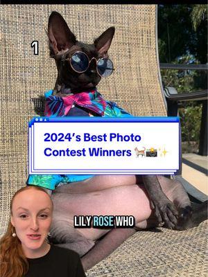 Some of our favorite Cat Photo Contest winners of 2024 🐈📸🍾  Submissions are open through our profile!! #cats #viralcat #lovecats #catphoto #catphotography #catsoftheweek #catster 