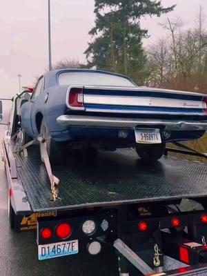 1967 barracuda #trevstowingtransport #doingrollbackthings #towtok #towlife #towing #towtruckoperator #tower #towtruck #towtruckdriver #towingtiktok #towoperator #towop #towlifeornolife🤟🏾💯 #sdmo #fyp #fy 