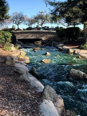 Solace 🩵 #fyp #solace #stanislausstateuniversity #turlockca #stanstate #paratiiiiiiiiiiiiiiiiiiiiiiiiiiiiiii #nature 