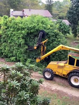 Hedging the east wind block #farmlife #hedging 