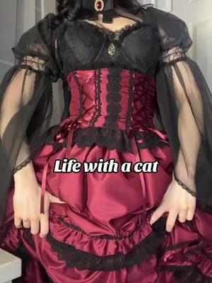 (Blooper) This is why all my ring lights break (she knocked over my soft box light lol) #fyp #fashion #nosferatu #cat #catlife #fashionstyle #victorian #victoriangoth #victorianera #lolita #lolitacoord #coord #coordinate #egl #style 