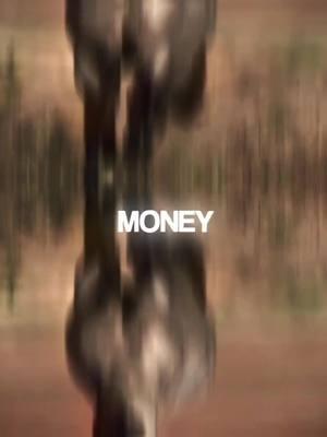 money talks? #fypp #fypシ #fypシ゚viral #fypppppppppppppppppppp #Horses #blowthisup #equineedits #CapCut 