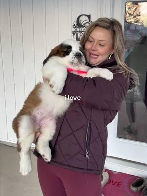 Maxine Estelle Quinn 🩷#foryou #foryoupage #Love #fyp #saintbernard #dog #doglover #saintbernardsoftiktok #puppiesoftiktok #puppylove #fypシ゚viral #dogsofttiktok #dogs #puppies #