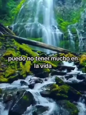 #motivacion #motivacional #amor #frasesmotivadoras #reflexiones #frasesinspiradoras #reflexion 