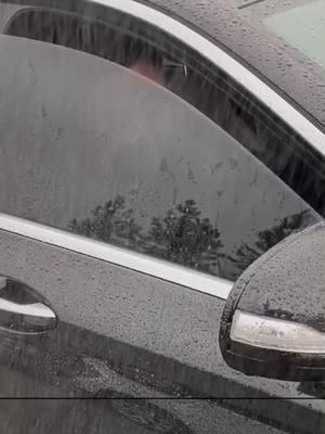 🌧️Keep Your Mirrors Clear with the Extendable Mirror Wiper! 🚗 Perfect for Rainy Days—No More Getting Out to Wipe! 💪 #MirrorWiper #CarEssentials #TiktokMadeMeBuyIt #RainyDayHacks #DriverLife #AutoAccessories #TrendingNow #MustHave #CarCareTips #ConvenienceUpgrade #HomeImprovement #OrderNow#tiktokshoplastchance #tiktokshopnewyearnewaura #spotlightfinds 