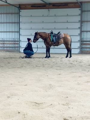 Hes a good boy! ❤️ #coltstarting #foryoupage❤️❤️ #fyp #foryoupage #horsetraining #postpartum #9weekspostpartum 