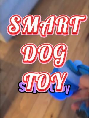 #CapCut my dogs love this #smartdogtoy #interactivedogtoy 