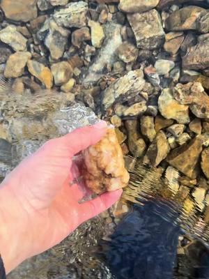 #agate #rocks #fossils #fossiltok #rockhounding #geode #geodes #crinoid #coral #agate #rockhoundingadventures #crystal #quartzgeode #creeksquad #creek #creeklife #rockhoundsoftiktok #viraltiktok #rockhounds #nature#rockhounding #crystaltok