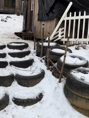 #blueridgemountains #itsjustmecorbing #floydva #fernhollowcollective #goodmorning #chicken #feedingtime #coop #corbinprydwen #cold 