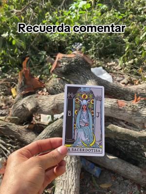 #contactocero #estadosunidos #miami #newtrend #viraltarot 